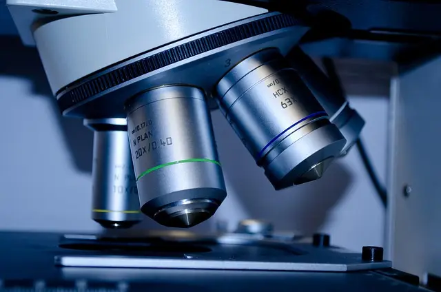 Essential Steps to Pursue a Career as a Scientist