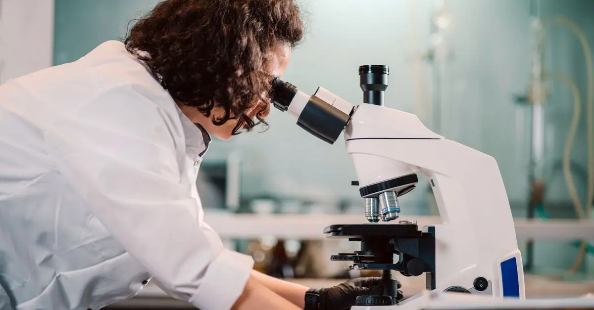 How to Create a Successful Research Proposal