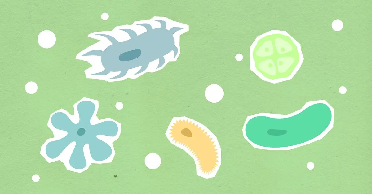 Exploring the Various Scientific Disciplines You Can Pursue