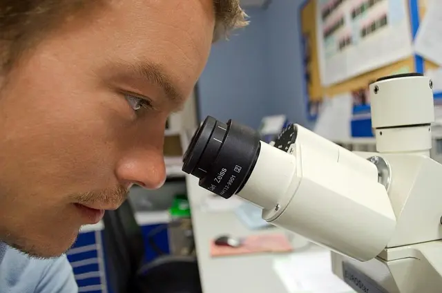 Mastering the Art of Scientific Research: A Step-by-Step Guide