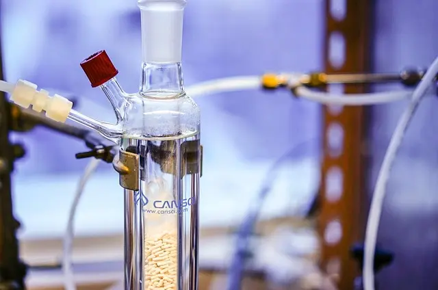 10 Steps to Successfully Become a Scientist