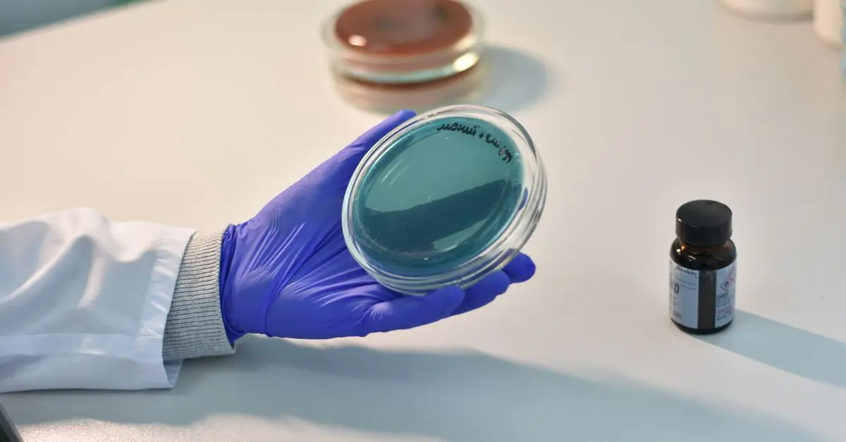 The Ethics of Genetic Engineering