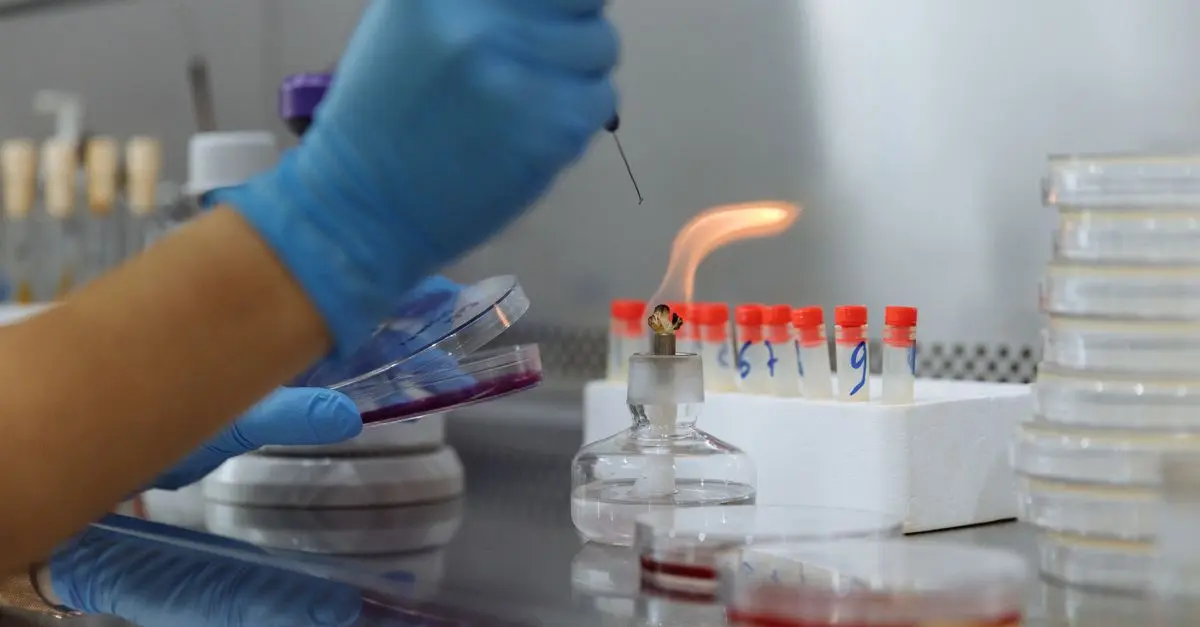 Combating Diseases with Gene Therapy