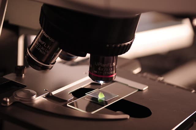 Top 5 Strategies for Finding Your Niche in Science