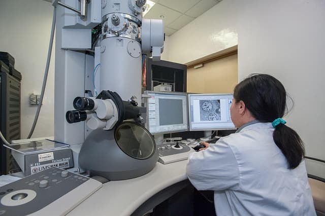 How to Prepare for a Successful Career as a Scientist