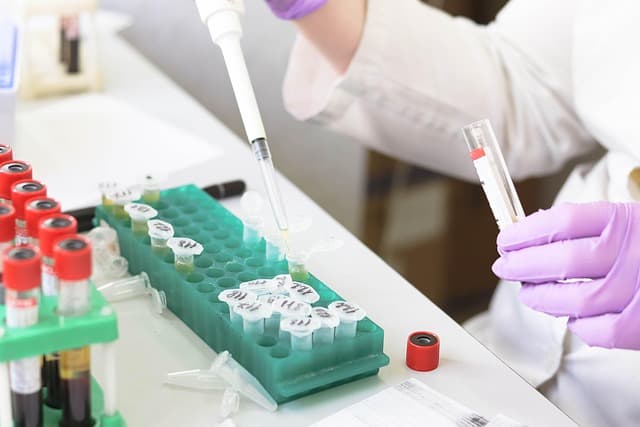 How to Effectively Prepare for a Career as a Scientist