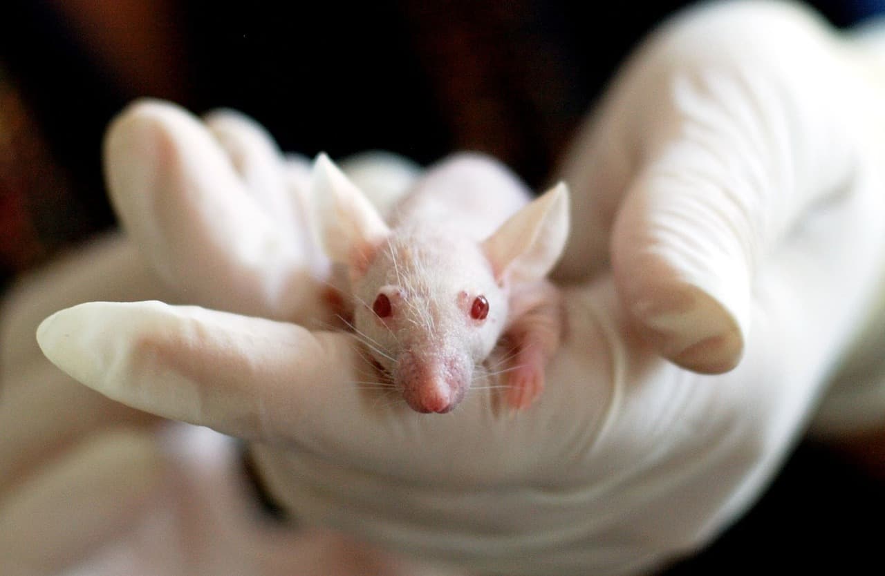 The Essential Guide to Science Research Grants